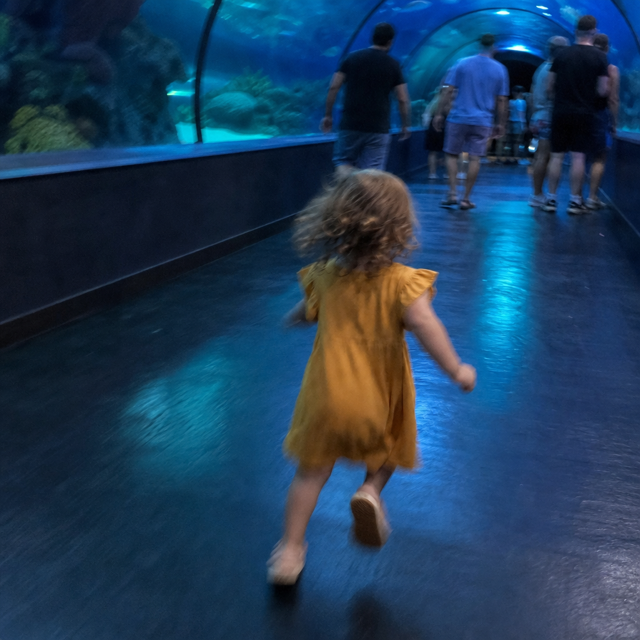 Photo of Maya at the aquarium