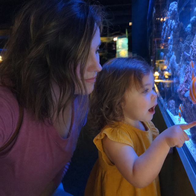 Photo of Maya at the aquarium